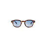 Tortoise_Blue